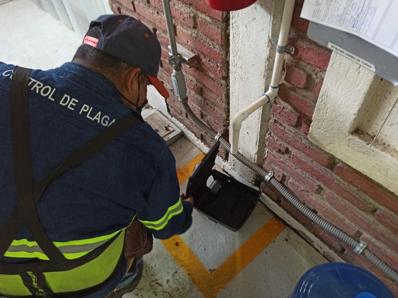 Técnico revisando una estación cebadera para roedores